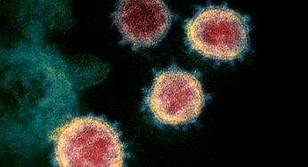 Unveiling SARS-CoV-2: Insights and Updates on the Virus in 2024